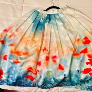Gorgeous Fairytale Skirt